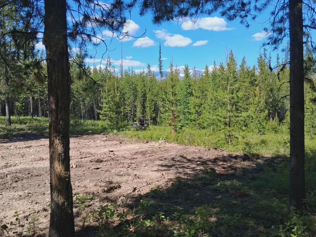 11532 North Fork Road Polebridge MT 59928