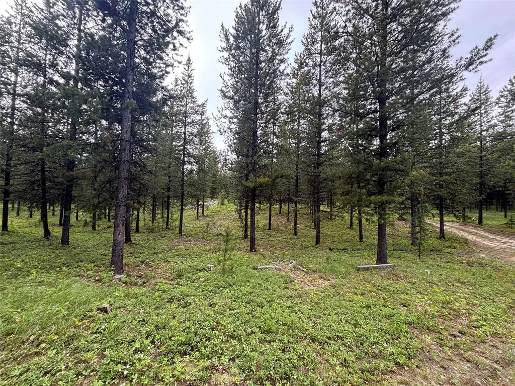 11532 North Fork Road Polebridge MT 59928