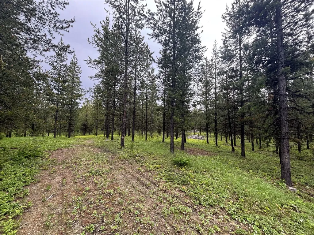 11532 North Fork Road Polebridge MT 59928