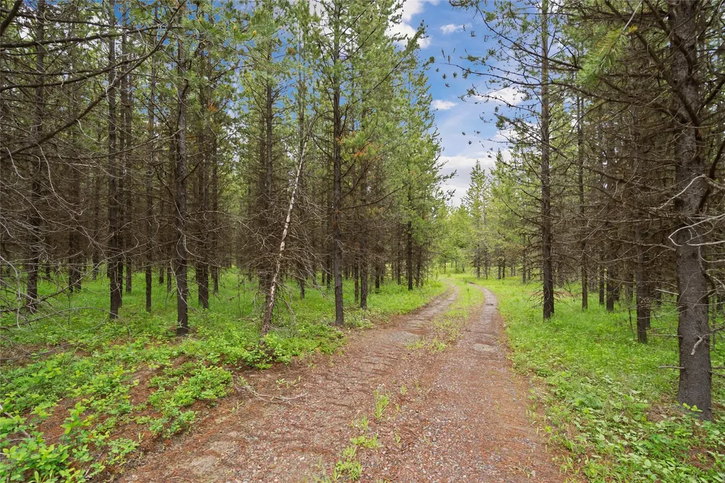 11532 North Fork Road Polebridge MT 59928