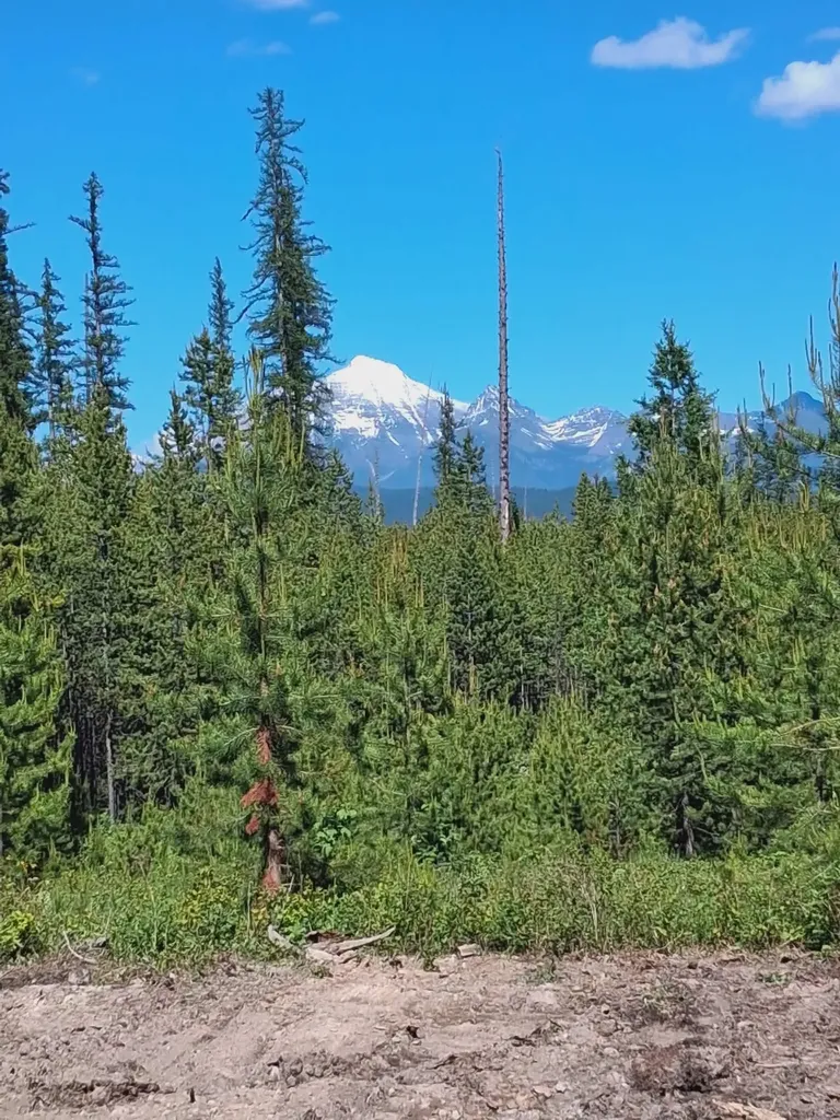 11532 North Fork Road Polebridge MT 59928