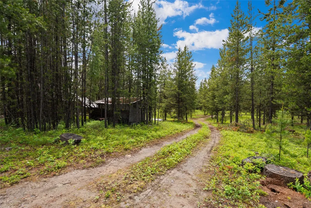 11532 North Fork Road Polebridge MT 59928