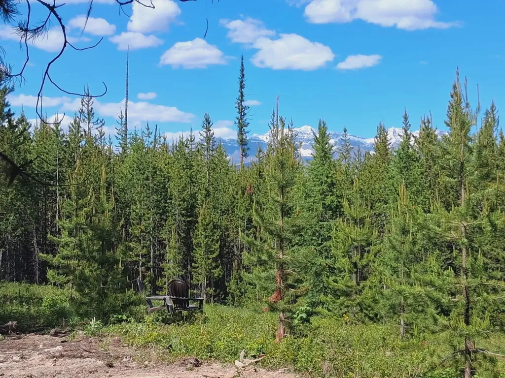 11532 North Fork Road Polebridge MT 59928