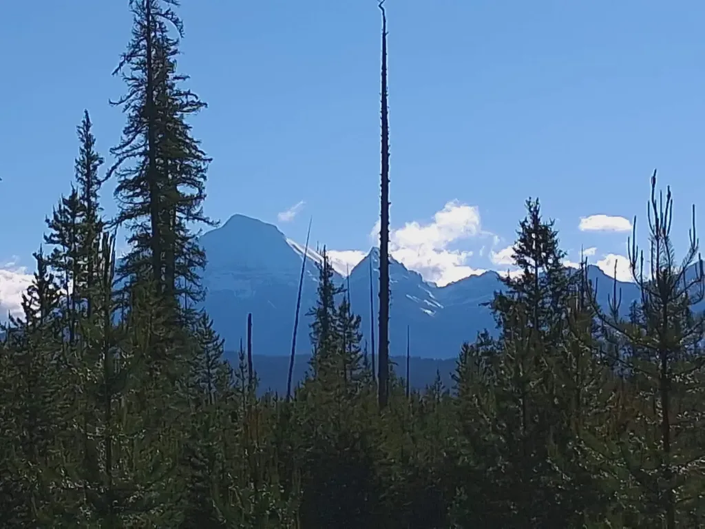 11532 North Fork Road Polebridge MT 59928
