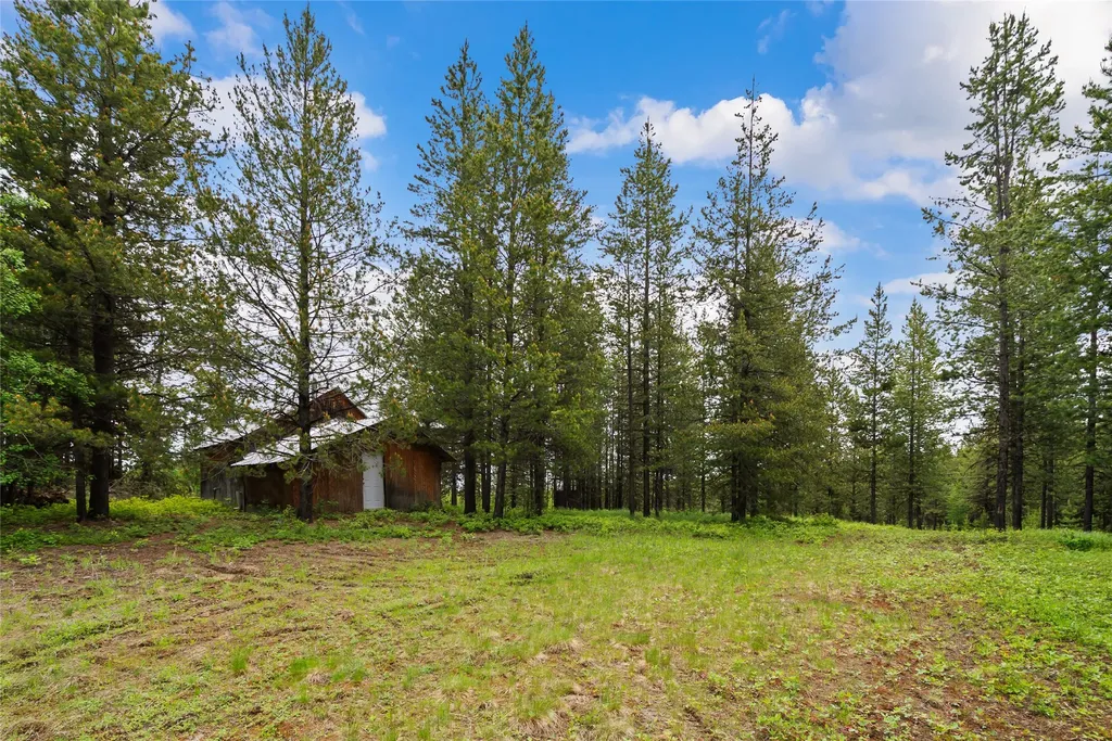 11532 North Fork Road Polebridge MT 59928