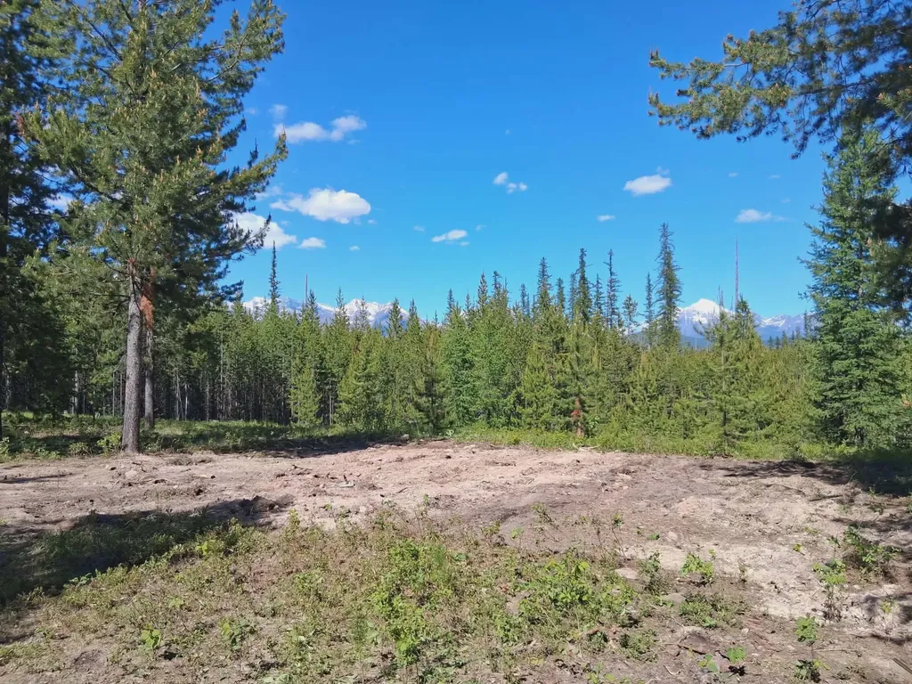 11532 North Fork Road Polebridge MT 59928
