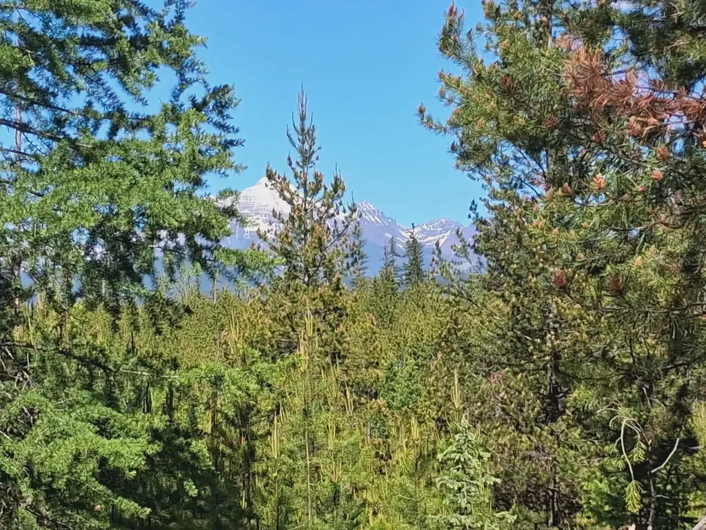 11532 North Fork Road Polebridge MT 59928