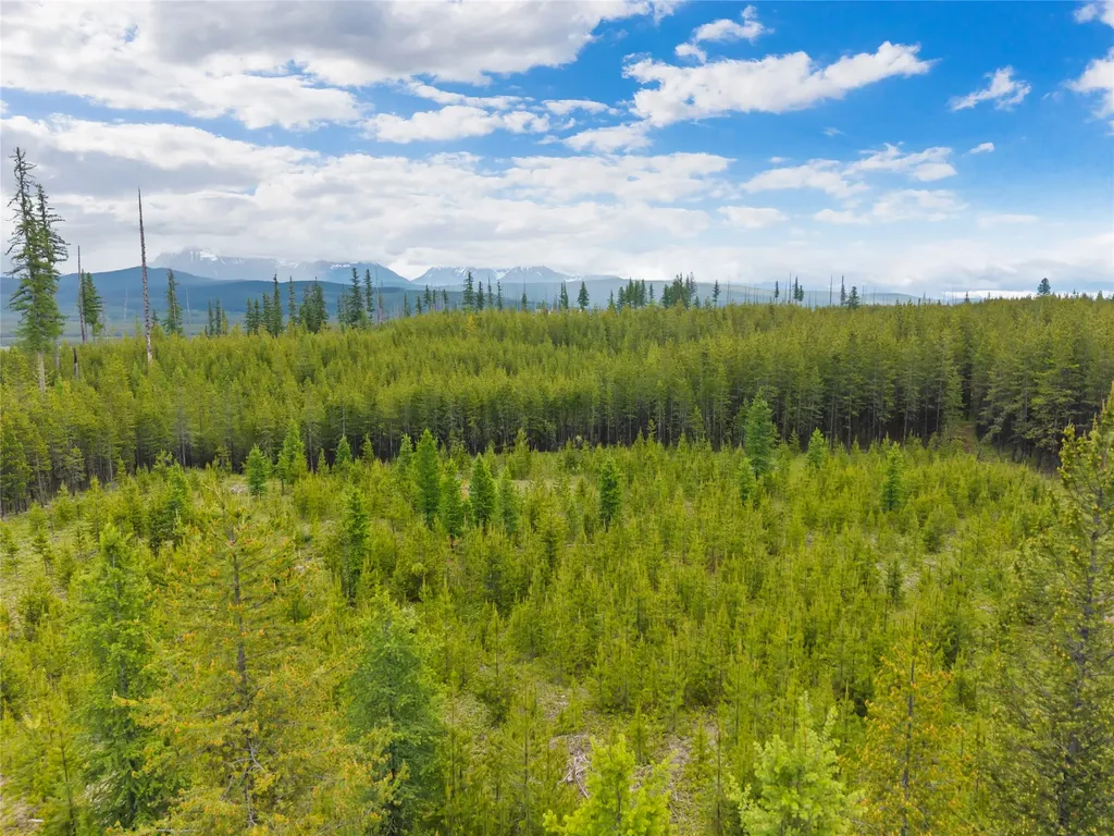 11532 North Fork Road Polebridge MT 59928