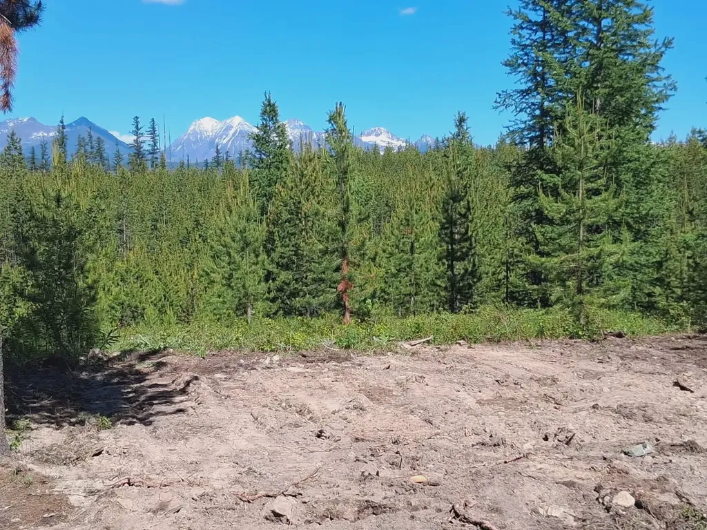 11532 North Fork Road Polebridge MT 59928