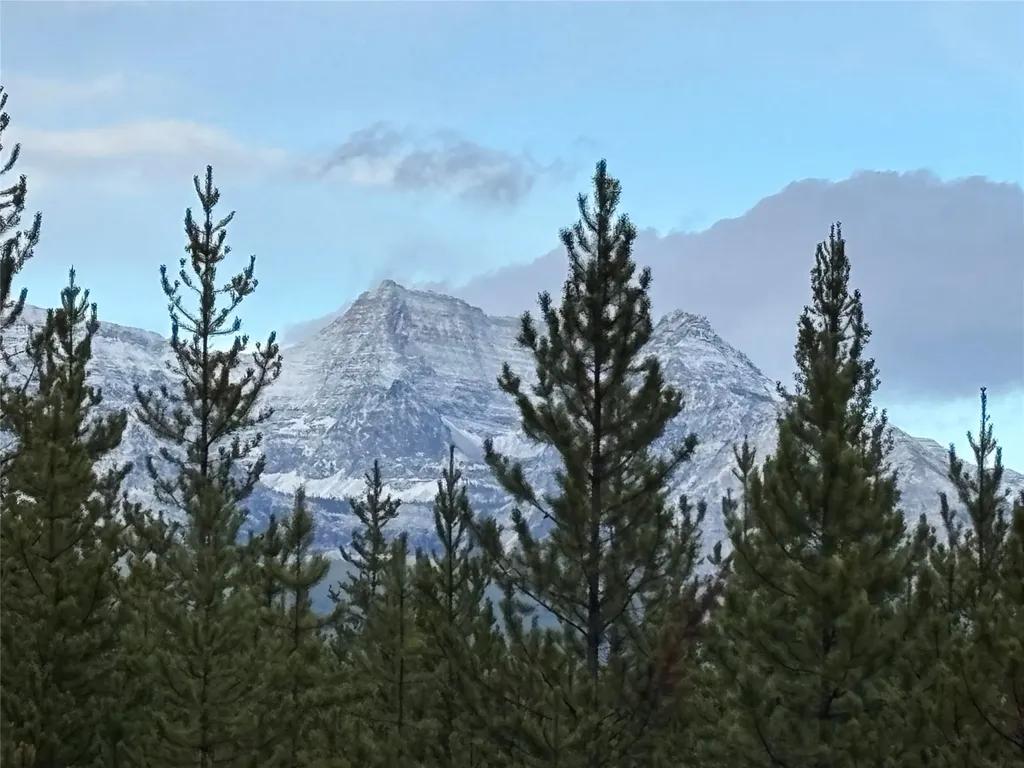 11532 North Fork Road Polebridge MT 59928