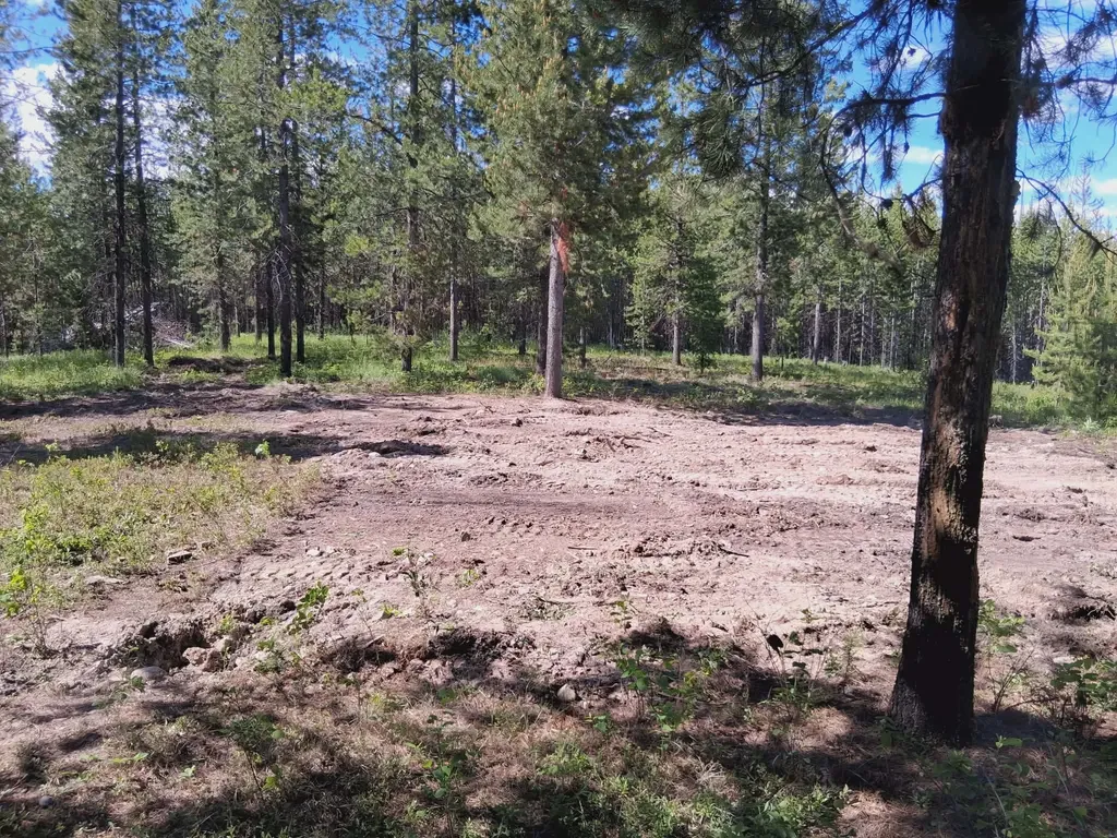11532 North Fork Road Polebridge MT 59928