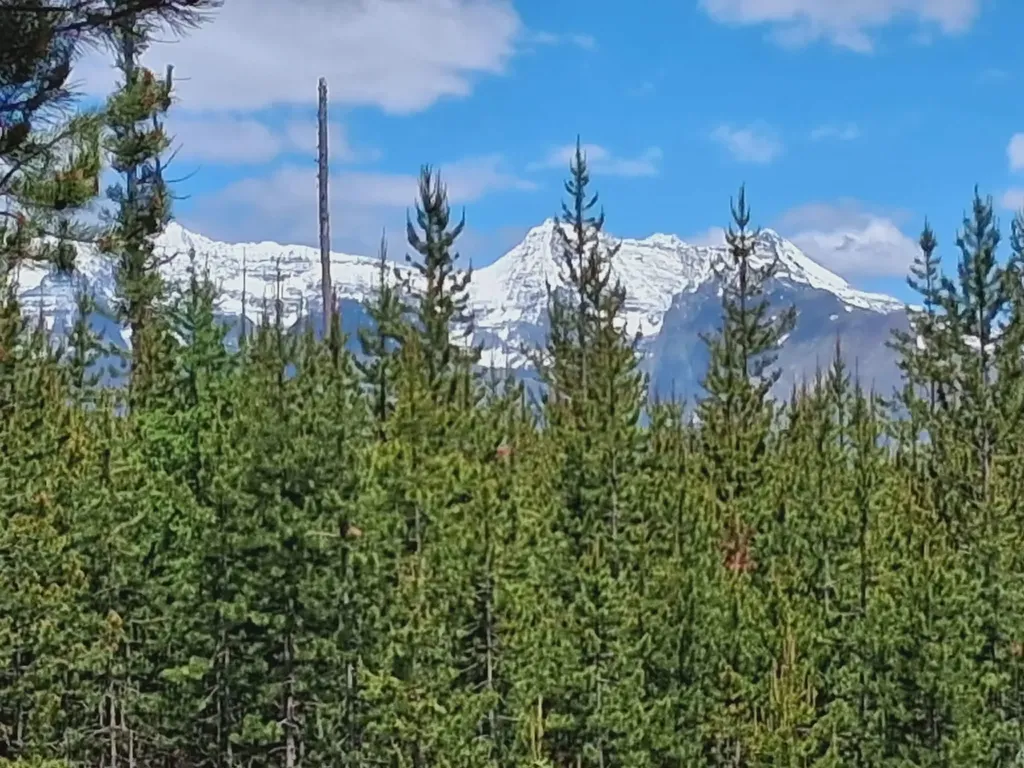 11532 North Fork Road Polebridge MT 59928
