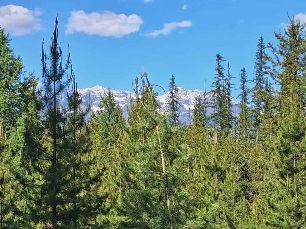 11532 North Fork Road Polebridge MT 59928
