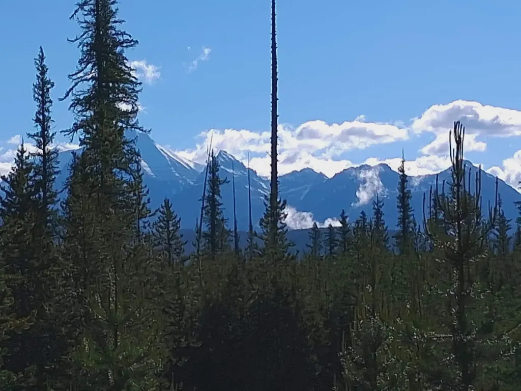 11532 North Fork Road Polebridge MT 59928