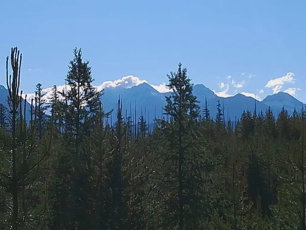 11532 North Fork Road Polebridge MT 59928