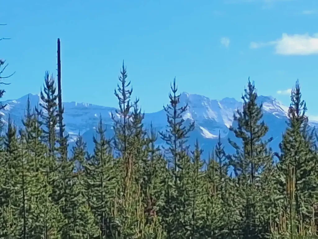 11532 North Fork Road Polebridge MT 59928