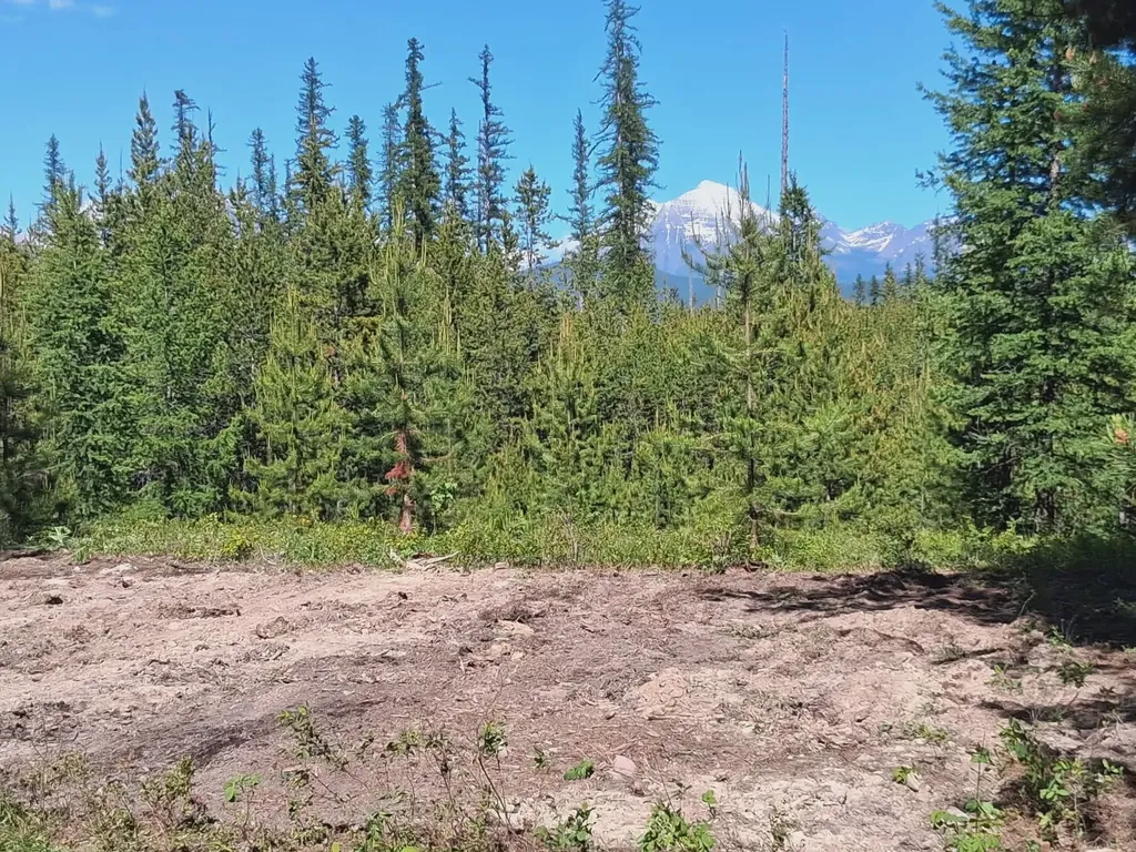 11532 North Fork Road Polebridge MT 59928