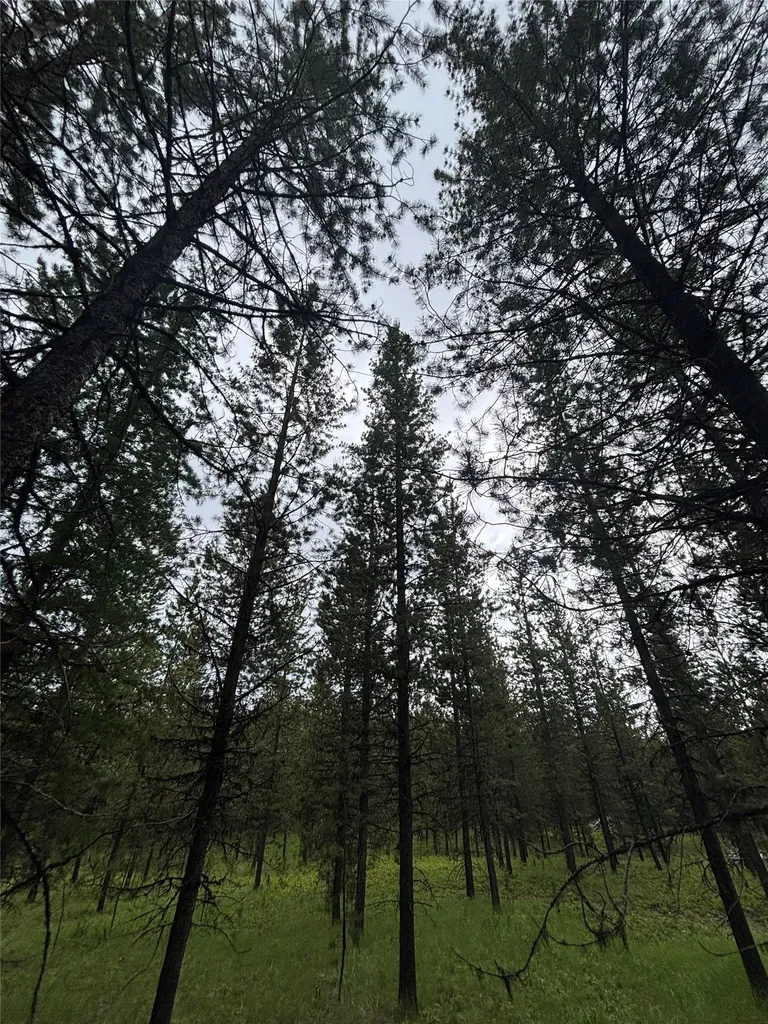 11532 North Fork Road Polebridge MT 59928