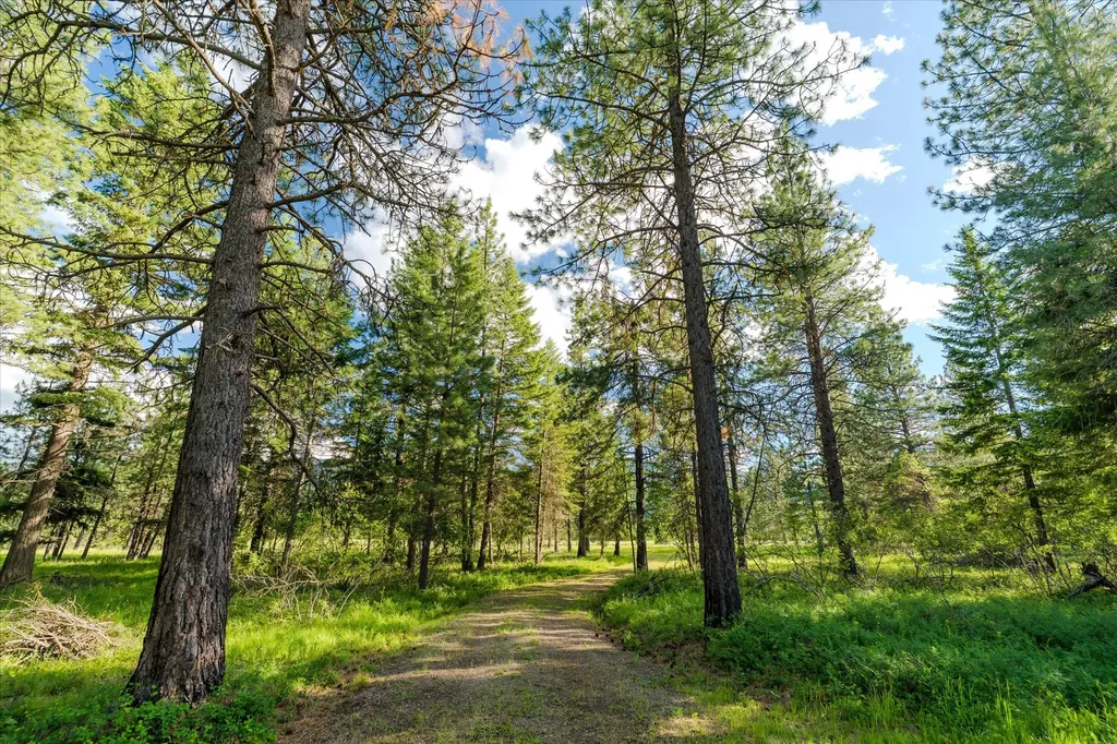 429 Trout Creek Road Trout Creek MT 59874