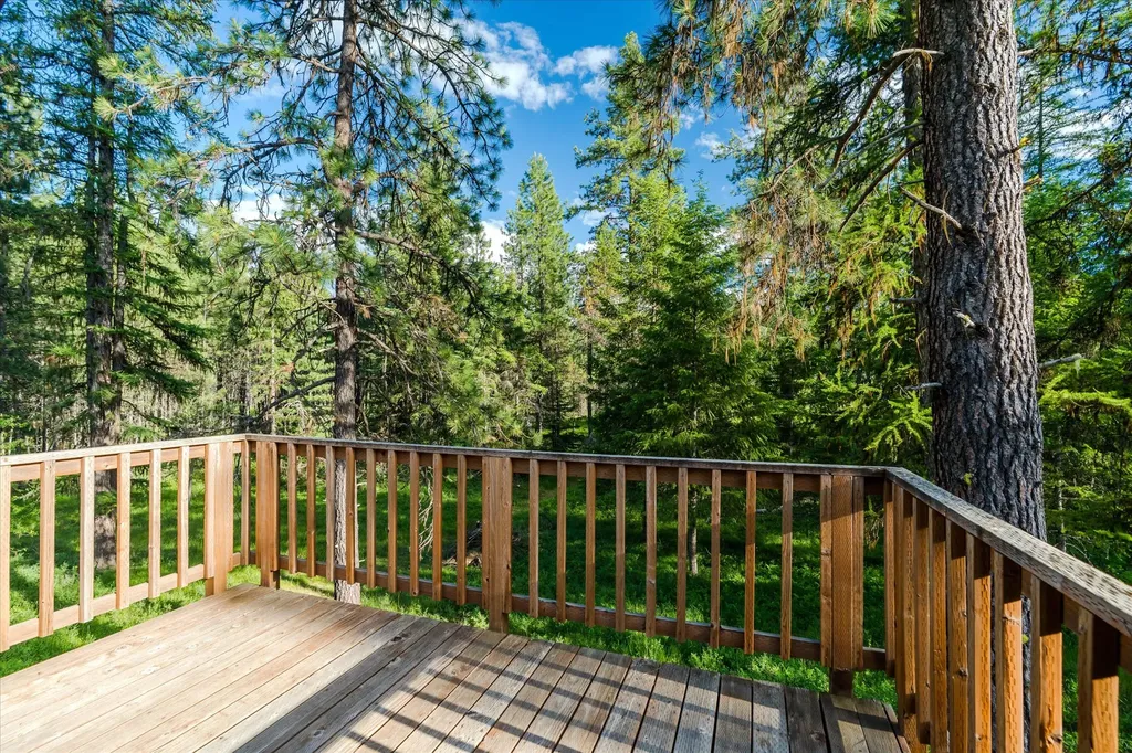 429 Trout Creek Road Trout Creek MT 59874