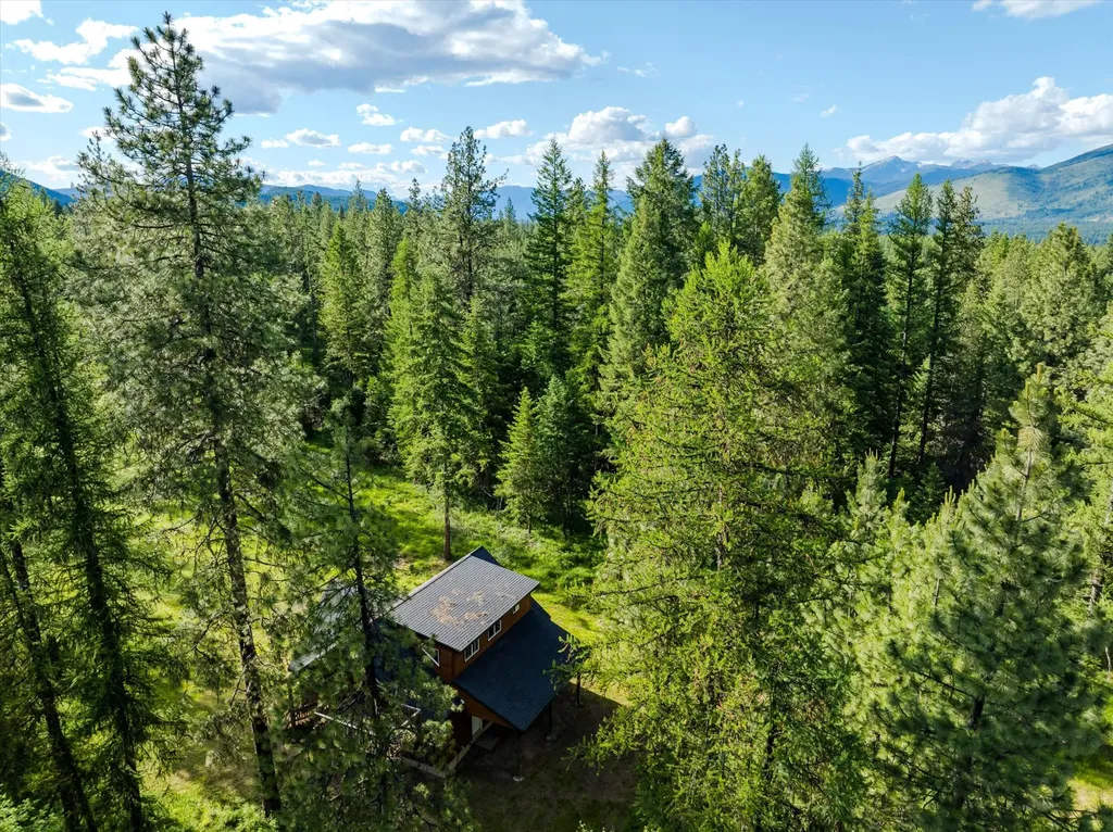 429 Trout Creek Road Trout Creek MT 59874