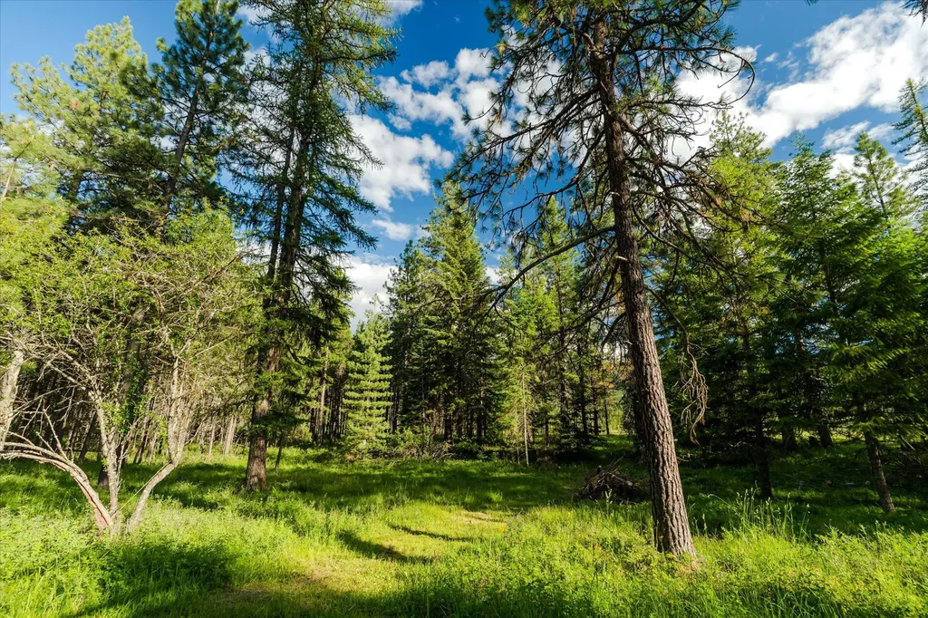 429 Trout Creek Road Trout Creek MT 59874