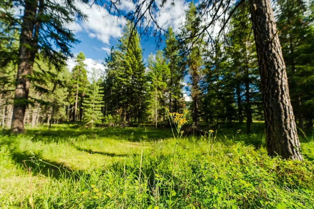 429 Trout Creek Road Trout Creek MT 59874
