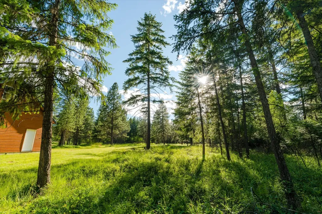 429 Trout Creek Road Trout Creek MT 59874