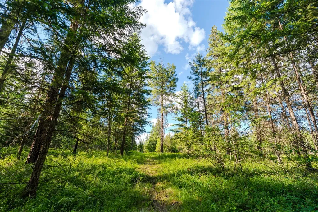 429 Trout Creek Road Trout Creek MT 59874