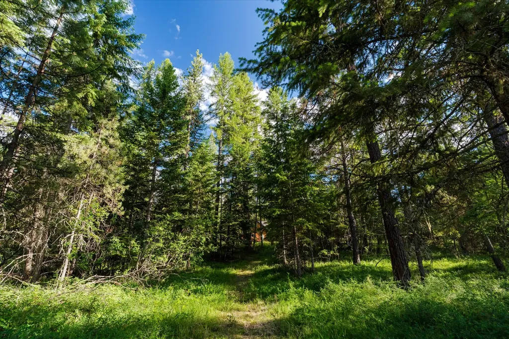 429 Trout Creek Road Trout Creek MT 59874