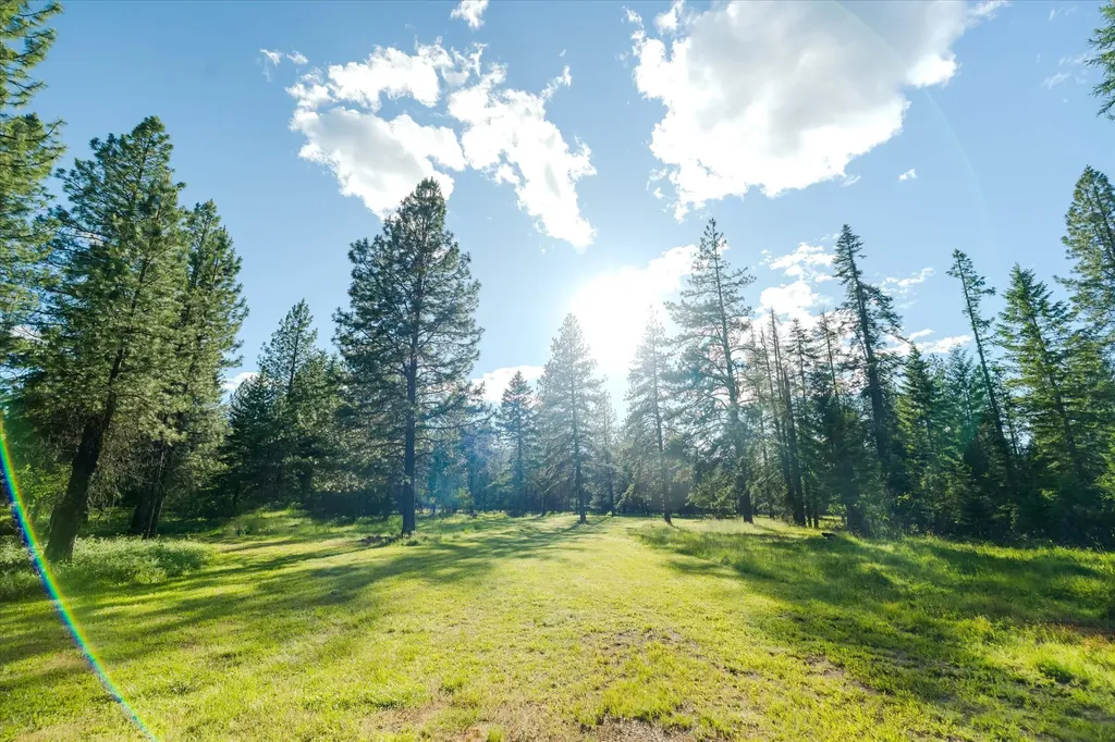 429 Trout Creek Road Trout Creek MT 59874