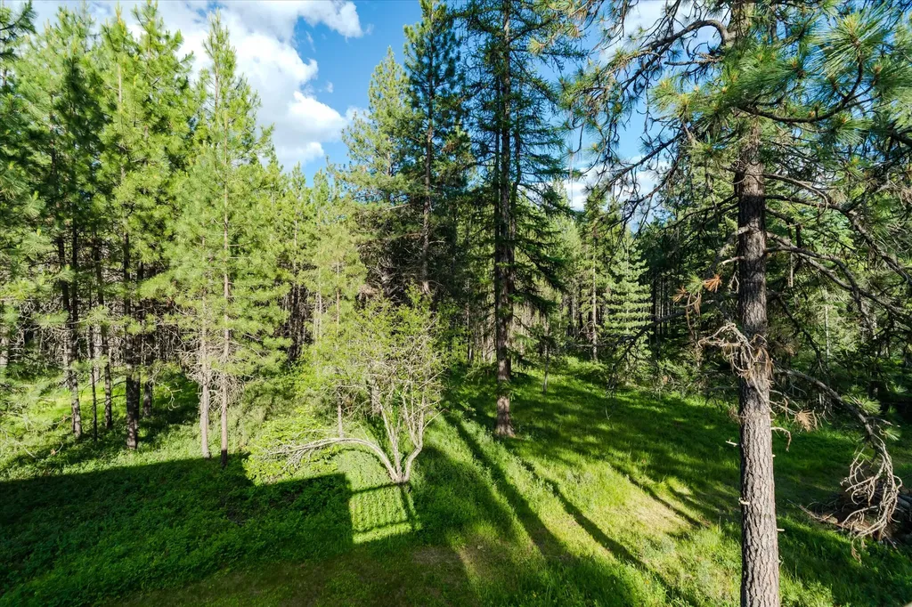 429 Trout Creek Road Trout Creek MT 59874