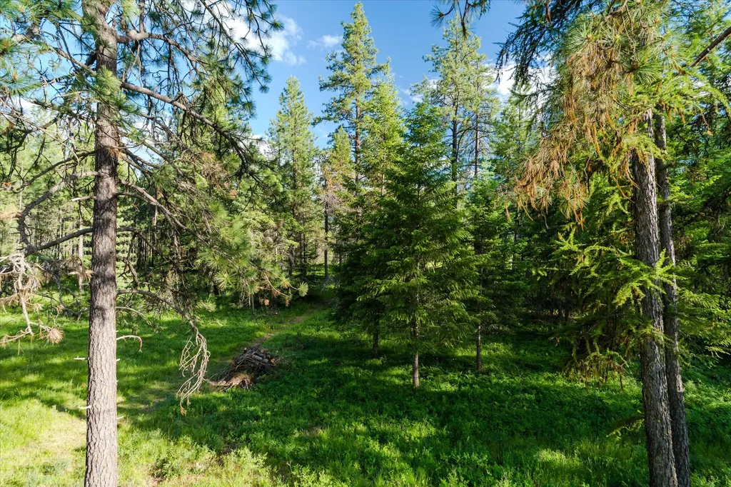 429 Trout Creek Road Trout Creek MT 59874