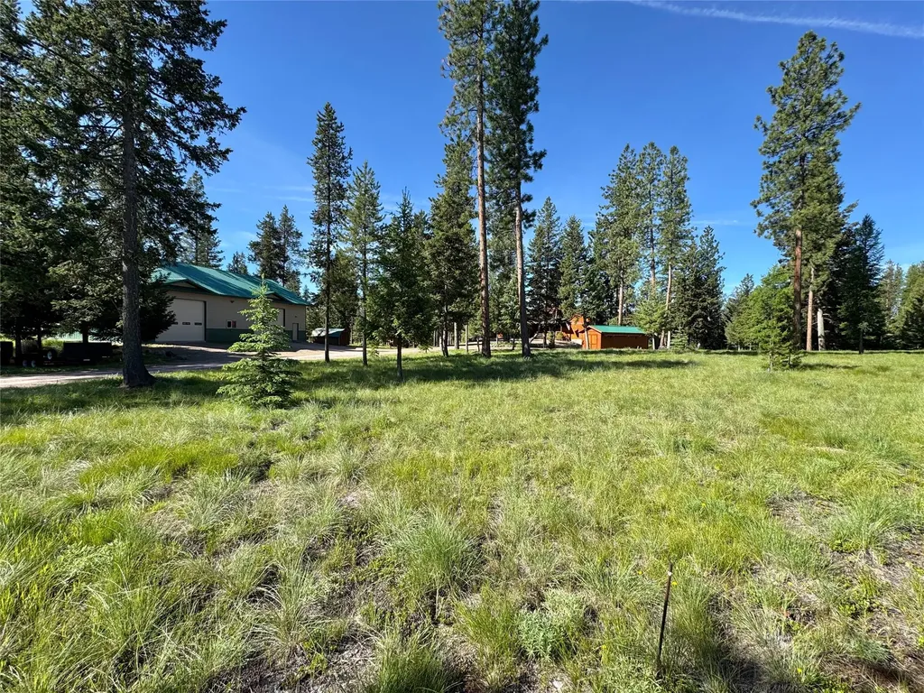 111 Salmon Court Seeley Lake MT 59868