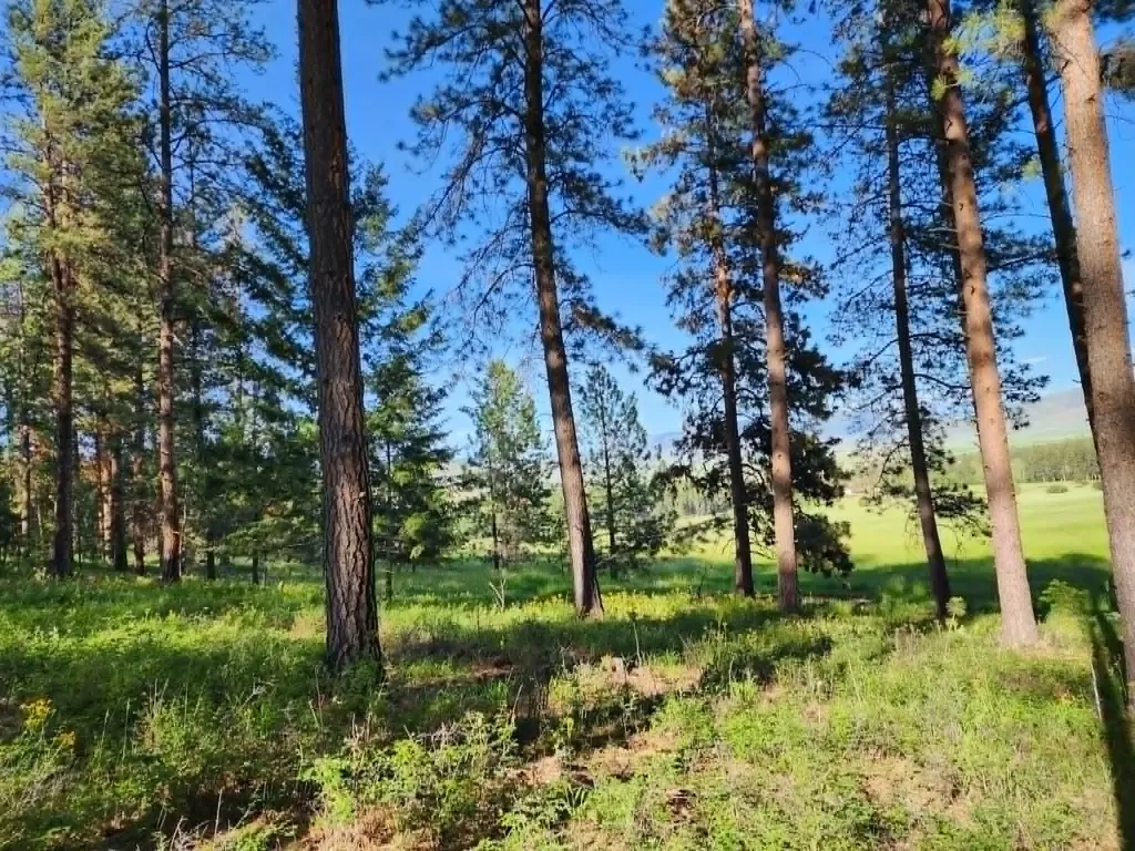 Nhn Old Hot Springs Road Hot Springs MT 59845