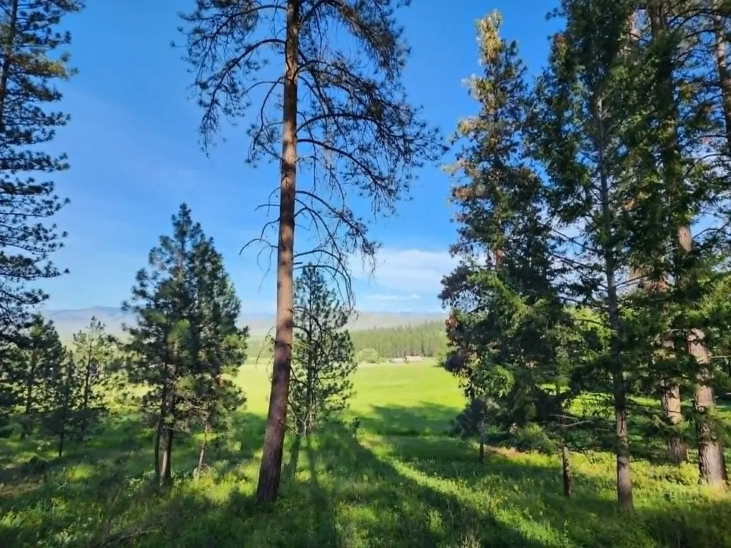 Nhn Old Hot Springs Road Hot Springs MT 59845