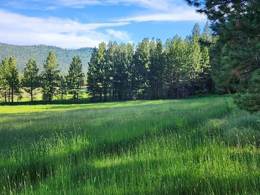 Nhn Old Hot Springs Road Hot Springs MT 59845