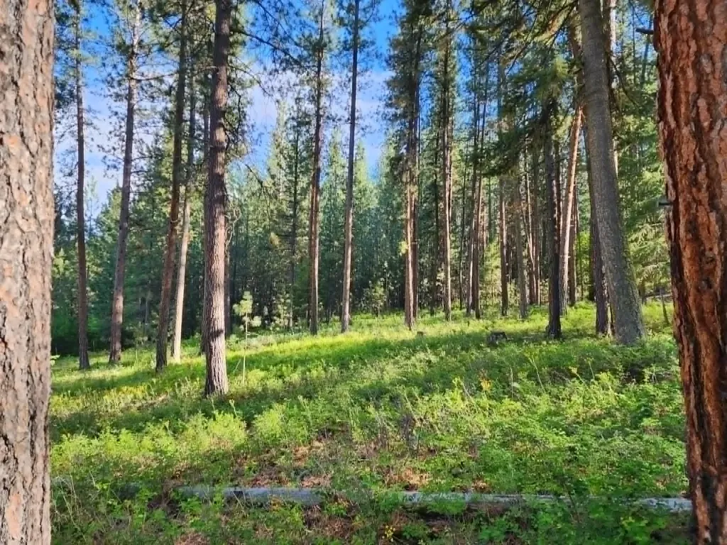 Nhn Old Hot Springs Road Hot Springs MT 59845