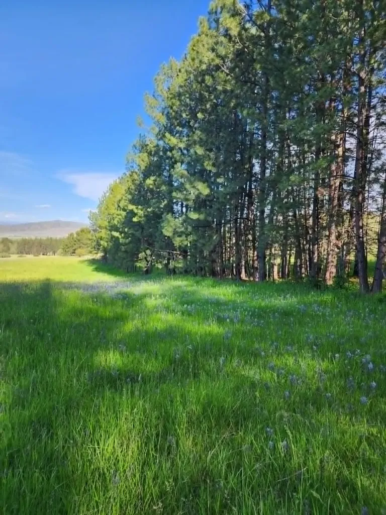 Nhn Old Hot Springs Road Hot Springs MT 59845