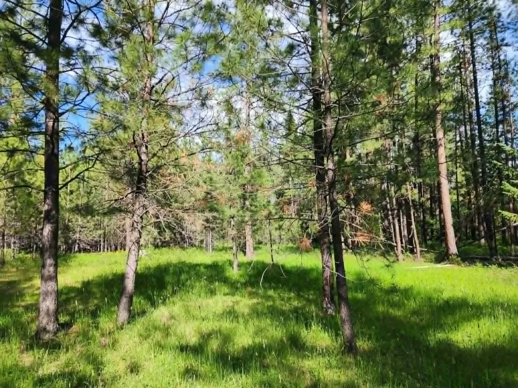 Nhn Stobie Lane Hot Springs MT 59845