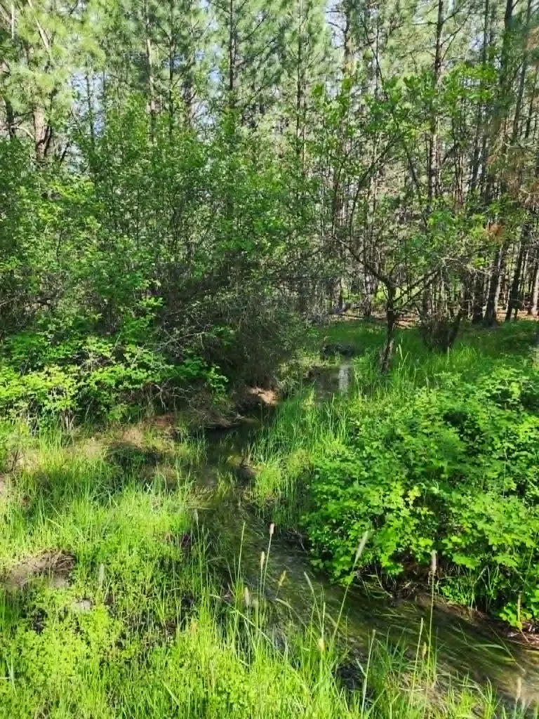 Nhn Stobie Lane Hot Springs MT 59845