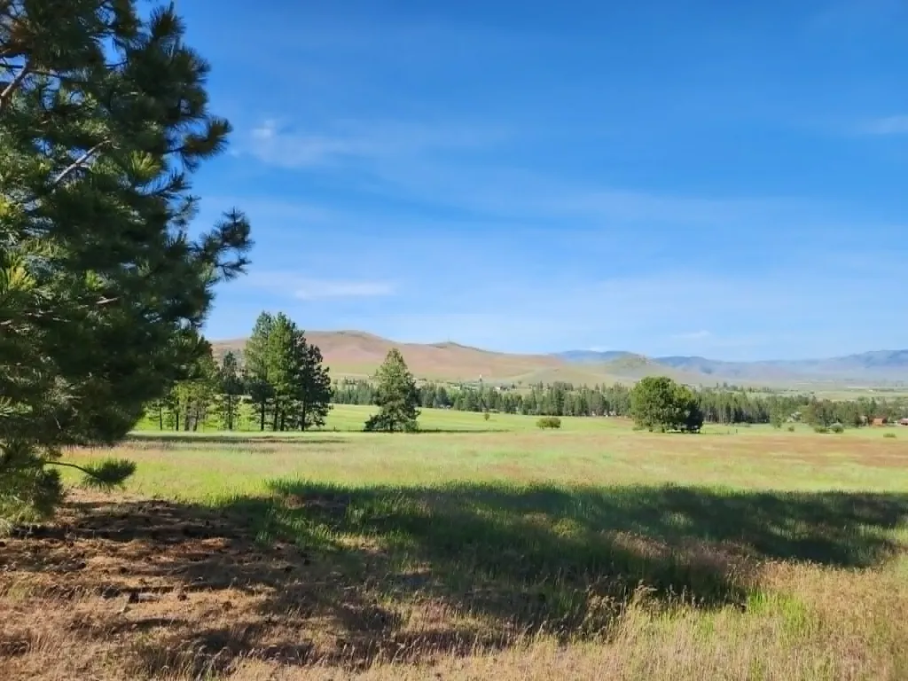 Nhn Stobie Lane Hot Springs MT 59845