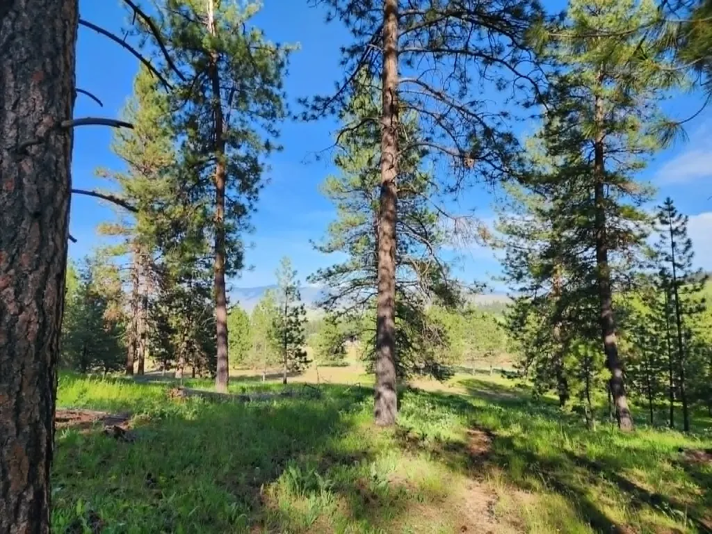 Nhn Stobie Lane Hot Springs MT 59845