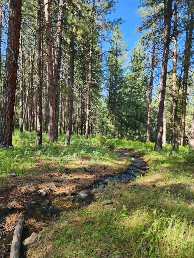 Nhn Old Hot Springs Road Hot Springs MT 59845