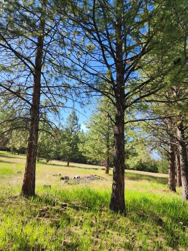 Nhn Stobie Lane Hot Springs MT 59845