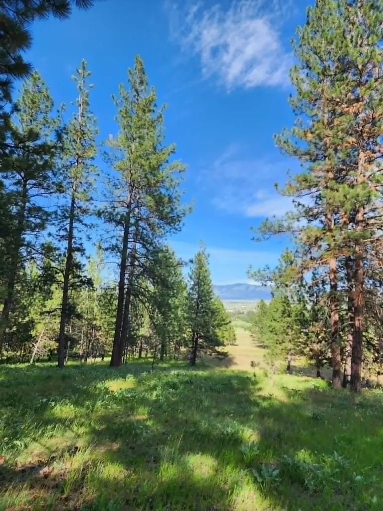 Nhn Stobie Lane Hot Springs MT 59845
