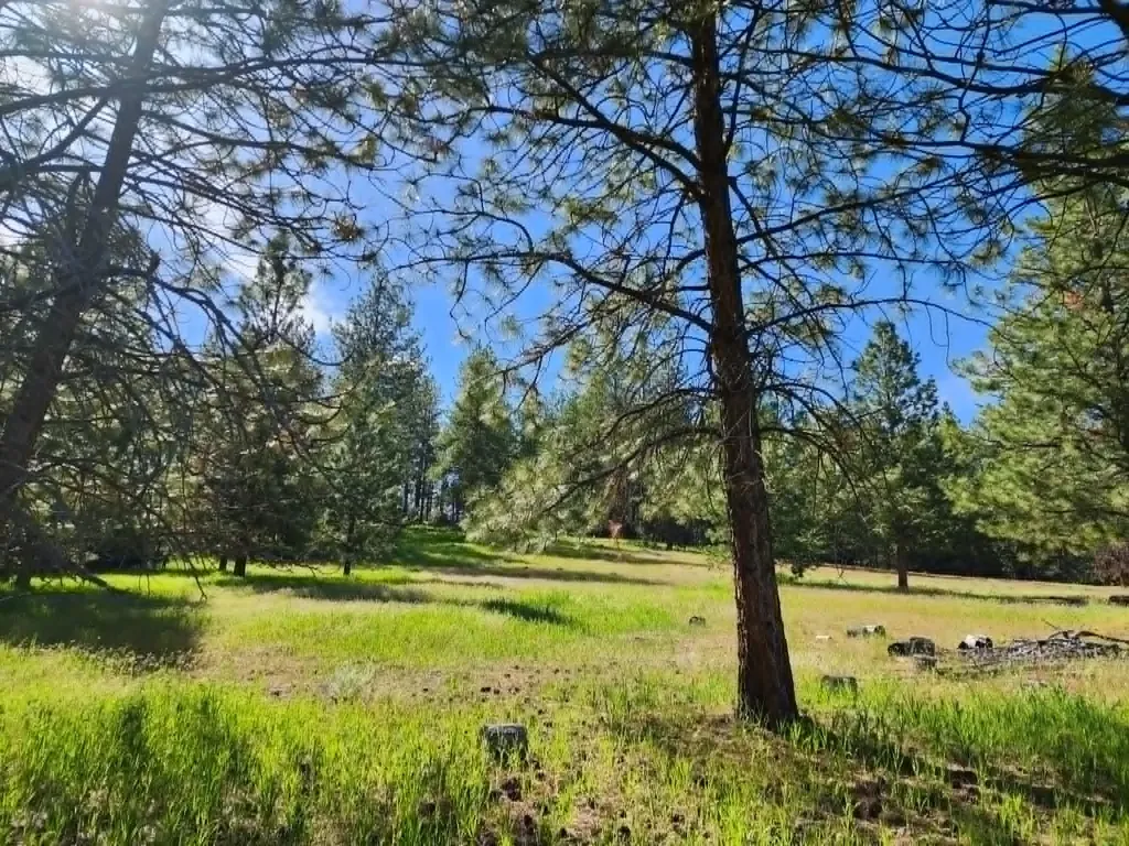 Nhn Stobie Lane Hot Springs MT 59845