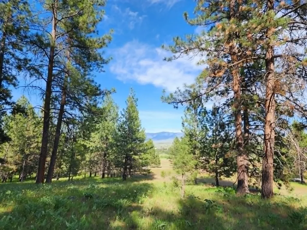 Nhn Old Hot Springs Road Hot Springs MT 59845