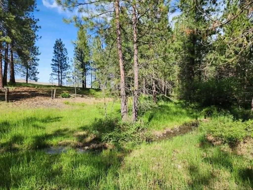 Nhn Old Hot Springs Road Hot Springs MT 59845