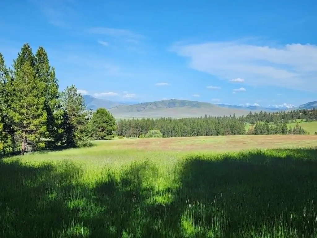 Nhn Stobie Lane Hot Springs MT 59845